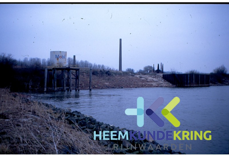 Vliegenwaard F00002602
